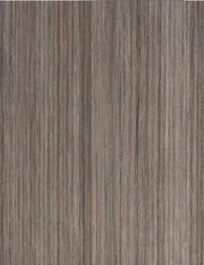 European Door